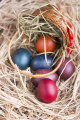 Fototapeta na wymiar Colorful eastern eggs. Copy space. Selective focus