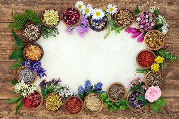 Herbal medicine background border with flowers and herbs used in natural alternative remedies with fresh herbs and flowers on parchment paper on rustic wood background. Top view.