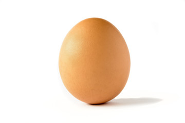 close up of a egg isolated on white.