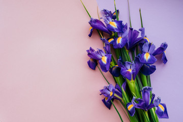Violet flower bouquet