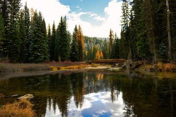 Obraz premium Fall landscape scene in McCall, Idaho