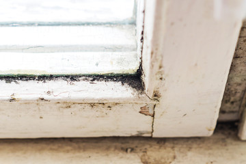 closeup of old dirty window sill