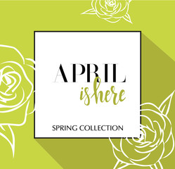 Design banner with lettering April is here logo. Green lime Card for spring season with black frame and wthite roses. Promotion offer Spring Collection with spring roses flower decoration. Vector