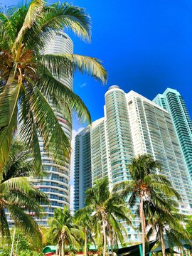Miami Downton