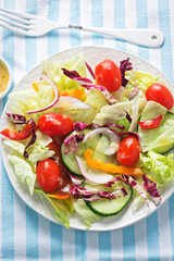Mixed leaf salad with tomatoes, cucumber, peppers & red onion with French style dressing