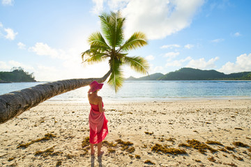female tourist with pink sarong under coconut palm tree, seychelles - obrazy, fototapety, plakaty