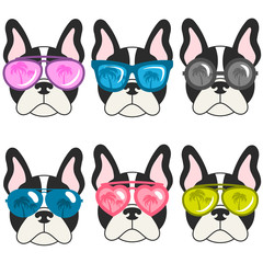 french bulldogs with sunglasses