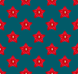 Cypress Vine Flower on Indigo Blue Background