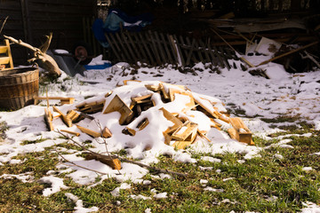 woods and trunk in the snow a
