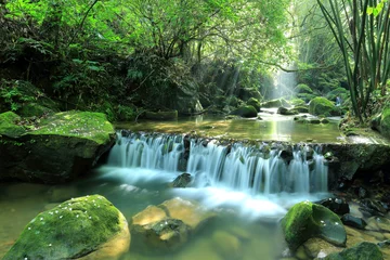 Papier Peint photo Cascades Scenic view of a cool refreshing waterfall hidden in a mysterious forest with sunlight shining through lush greenery and flowers fallen on mossy rocks ~ Beautiful river scenery of Taiwan in springtime