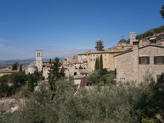 Fototapeta na wymiar Gruppo di chiese tra case e alberi di Assisi