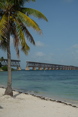 Bahia Honda Flagler Bridge beach and palm trees