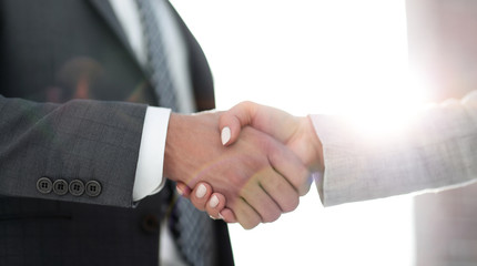 Businessmen handshaking after successful business meeting