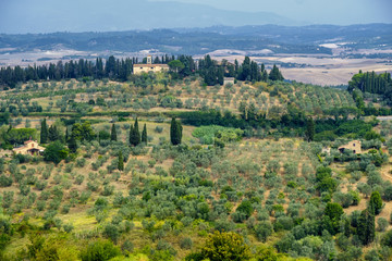 Fototapeta na wymiar Summer landscape near Volterra, Tuscany