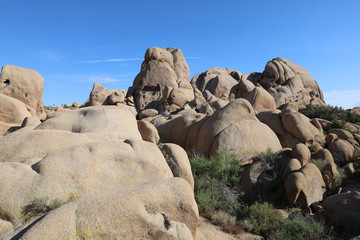 Fototapeta na wymiar Skull Rock in Joshua Tree National Park. California. USA