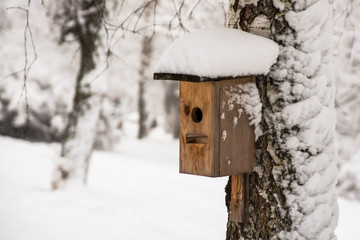 Winter bird feeder in the forest with snow