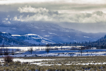 Lamar Valley in the winter in Yellowstone National Park