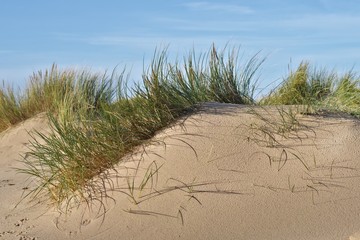 Obraz na płótnie Canvas English Beach