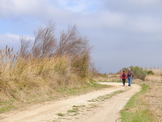 couple de marcheurs ensemble sur le chemin