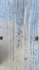 Wood Texture Colored