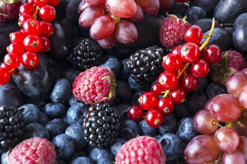Ripe blackberries, blueberries, raspberries, red currants, grapes and plums on a white background. Mix berries and fruits. Top view. Background berries. Various fresh summer fruits.