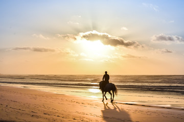 Horse Ride in front of the Sea in full Sunset, Moroccan coast, Casablanca, Morocco