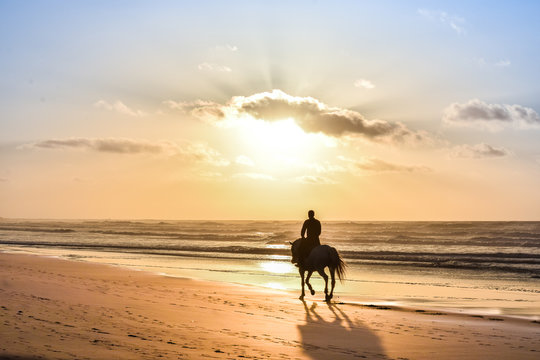 Horse Ride in front of the Sea in full Sunset, Moroccan coast, Casablanca, Morocco