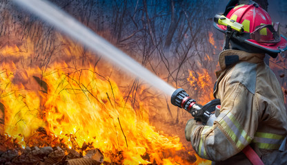 Natural disaster ,firefighters spray water to wildfire. - Powered by Adobe