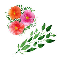 Flowers watercolor illustration and green herbs. Elegant hand-painted composition.