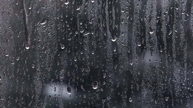 rain drop spring footage