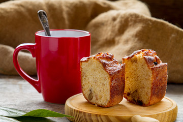 Homemade sponge cakes