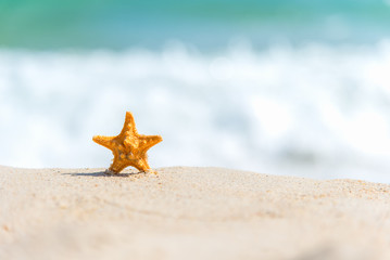 Closeup starfish on the sand beach background blue sky. Summer and Travel Concept