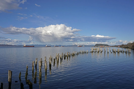 Cargo ships at anchor in the East Mooring Basin at Astoria, Oregon