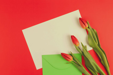 Flowers tulips and green envelope with white card on red background