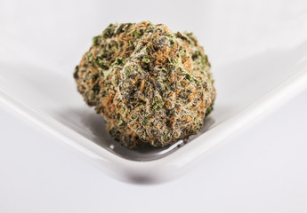 Marijuana flower
