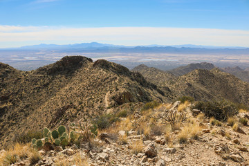 Fototapeta na wymiar Wasson Peak view, Saguaro National Park, Arizona