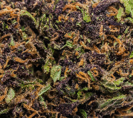 Marijuana flower
