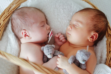 newborn twins are sleeping
