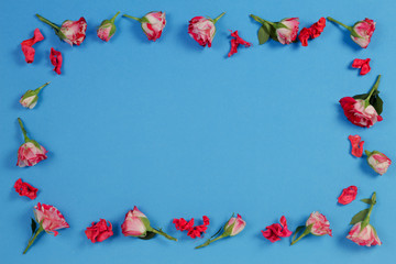 Flowers composition. Frame made of fresh roses on blue background. Top view