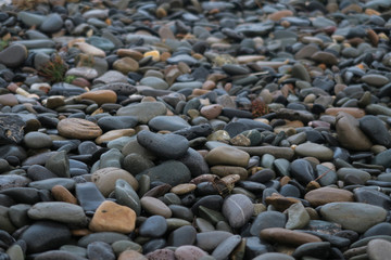 Rocky beach with with variety of types and olors of round stones seaside - Seaweed and dirt in between