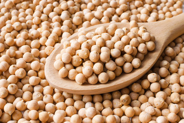 dry raw chickpeas in a spoon