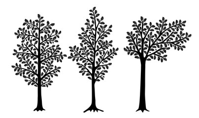 Set of stylized oaks isolated on white background. Vector illustration. Can be used for interior decoration