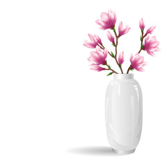 Magnolia flowers. Realistic vector illustration of blooming magnolia branch in white vase on white background.