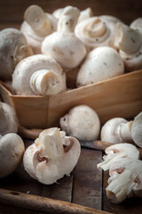 Freshly harvested mushrooms.