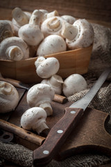 Freshly harvested mushrooms.