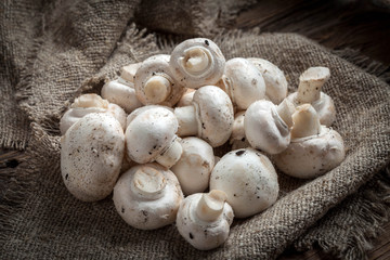 Freshly harvested mushrooms.