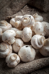 Freshly harvested mushrooms.