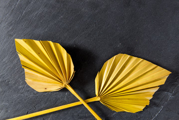 palm leaves on a black structured surface