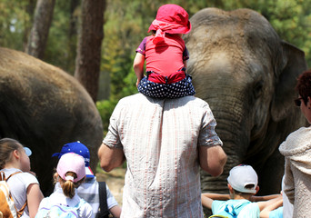 Famille au Zoo Elephants