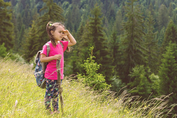 Naklejka na ściany i meble Cute little girl walking in mountains, holding wooden stick and wildflowers, wearing pink t-shirt